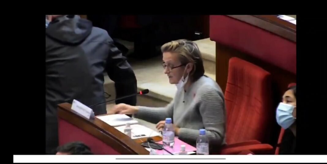 Intervention Florence BERTHOUT sur la ZFE au conseil metropolitain du 1er decembre 2020 Florence BERTHOUT